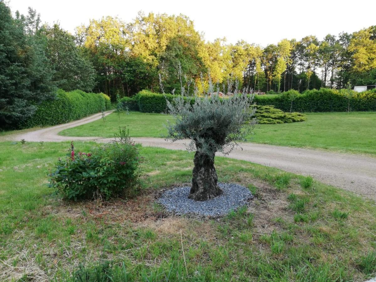 Le Gite Du Parc La Coquille Zewnętrze zdjęcie